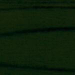 0202010152-cvqt-smarch