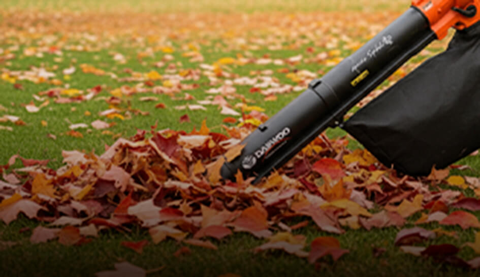 mh-site-315x182-leaf-10-09-3x